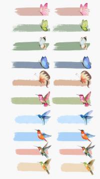 تکس باکس پروانه و پرنده